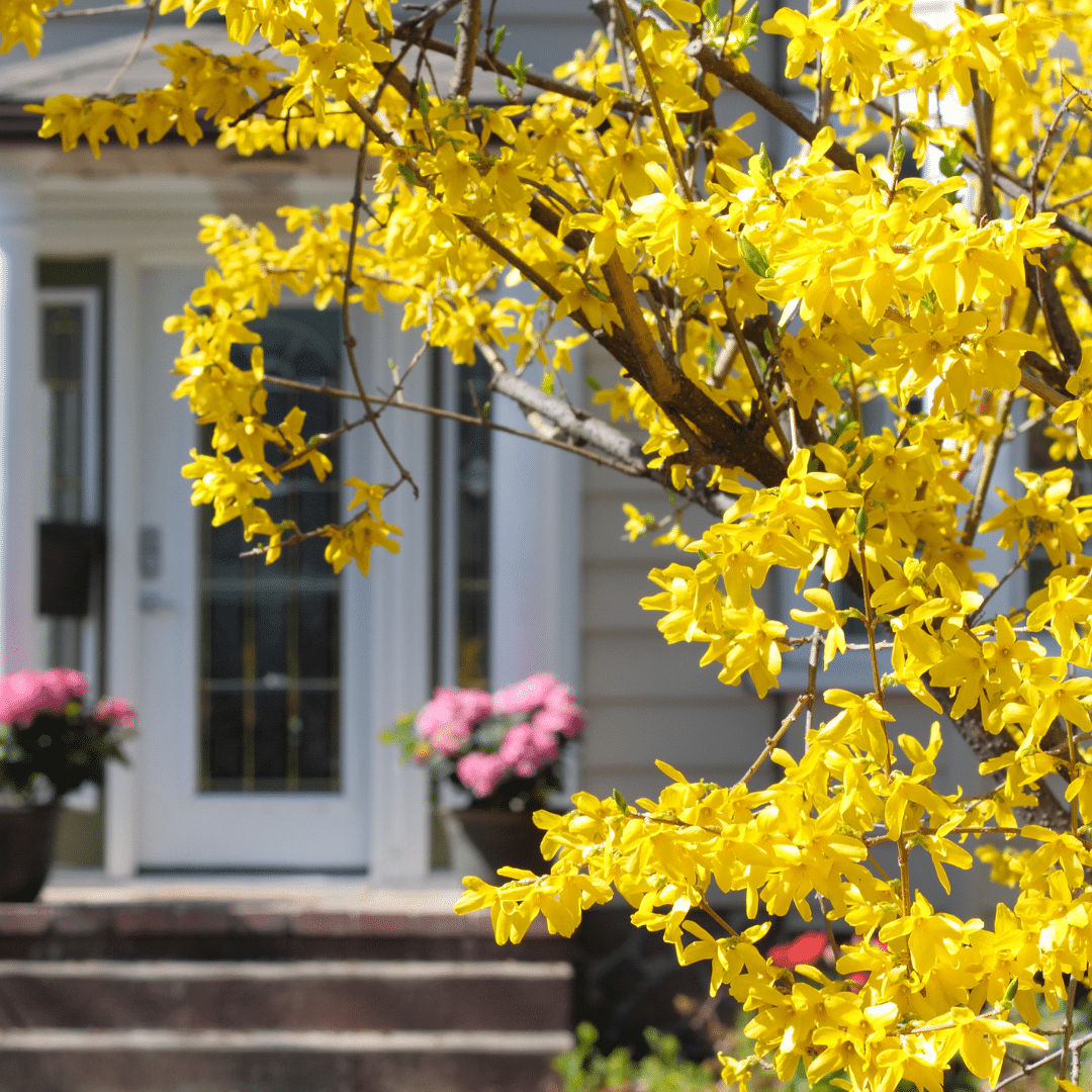 Johnson Construction Group | Weatherproofing Your Construction Projects: Essential Tips for Spring